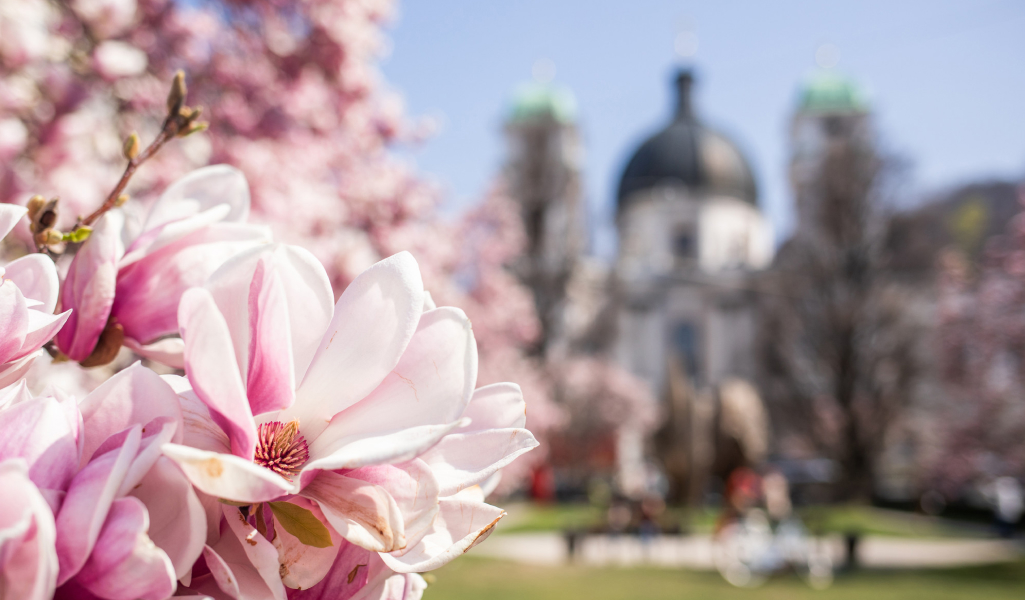 Winterlicher Blick auf Salzburg © SalzburgerLand Tourismus
